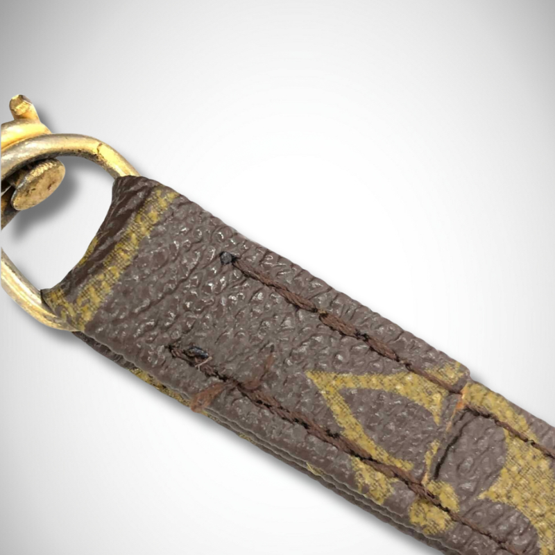 Louis Vuitton Monogram Old Danube M3552 thumbnail